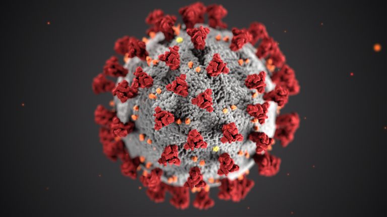 Coronavirus (COVID-19) and the Effect on Vancouver’s Housing Market