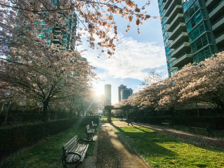 Real Estate Board of Greater Vancouver’s May 2019 Statistics
